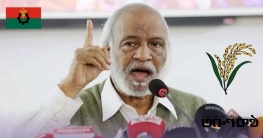 নরসিংদী-২ আসনে ধানের শীষ প্রতীক পেলেন ড. মঈন খান